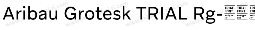 Aribau Grotesk TRIAL Rg字体转换